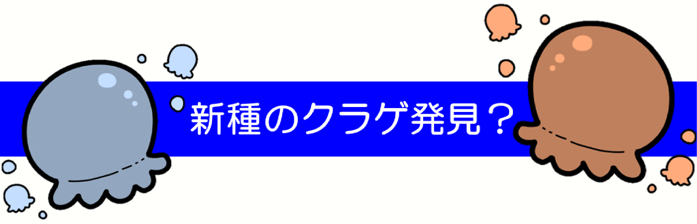 山形名物芋煮